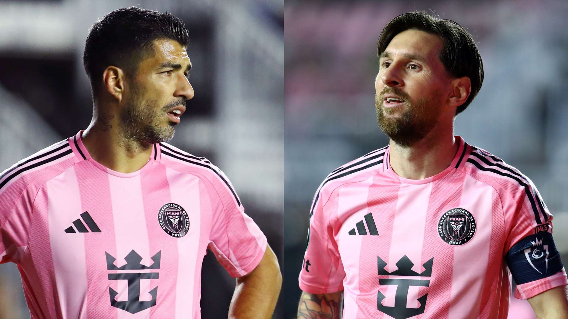 九游娱乐主 九游娱乐主