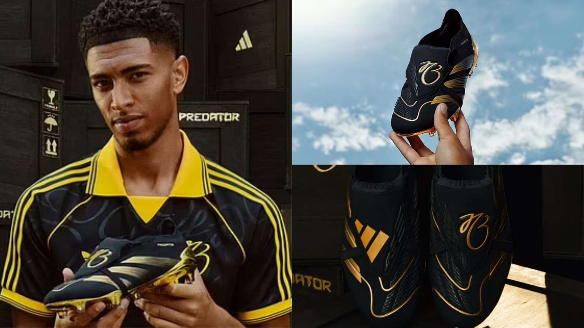 这为他争取 这为他争取